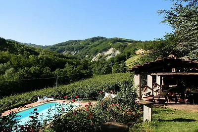 Ampio appartamento in casa colonica
