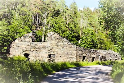 4 Persone case ad BÄCKEFORS