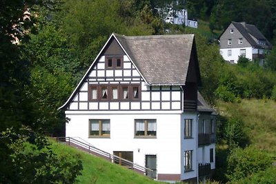 Großzügiges Ferienhaus mit eigener Terrasse i...