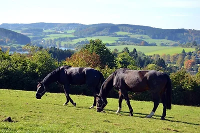Ferienhaus in Attendorn mit Doppelbett