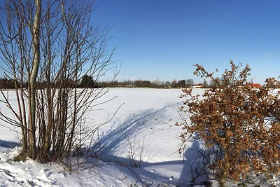 Pusteblume Komfortable Ferienresidenz