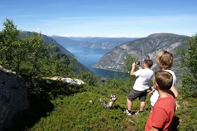 3 persoons vakantieparkhuis in Lærdal