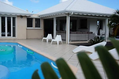 Villa sull'albero del viaggiatore