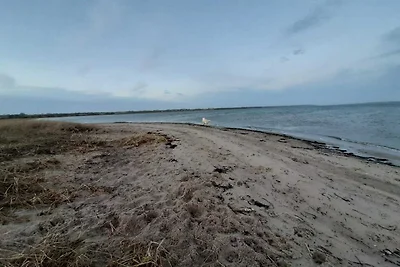 Ruim toevluchtsoord bij Limfjorden -- By Trau...