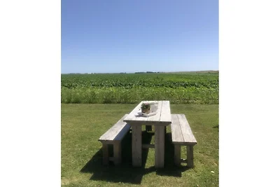 Ferienhaus in texel mit Schwimmbecken