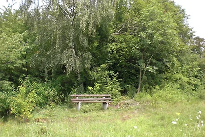 Dom wakacyjny przyjazny psom w Knüll