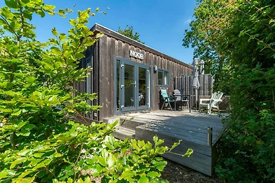 Chalet auf Texel nahe Strand und Wald
