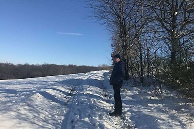 Eenzame berghut aan de rand van het bos