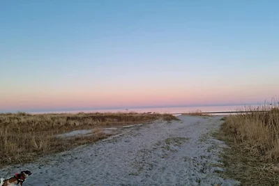 4 Sterne Ferienhaus in Hals-By Traum