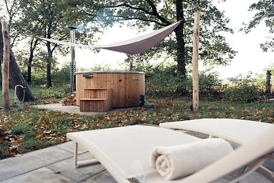 Wellness Lodge met Hottub Haarle