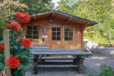 Apartament wakacyjny z 1 sypialnią