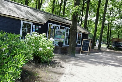 Zeltloge mit Terrasse in grünen Umgebung