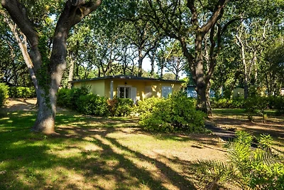 Bungalow in San Vincenzo met betaalde sauna-v...
