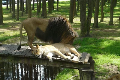 Ferienhaus in der Lüneburger Heide