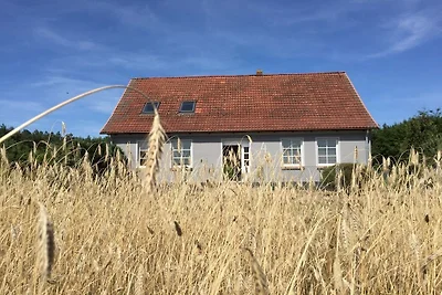 Ferienhaus in Ahlbeck mit Schwimmbecken