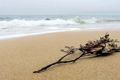 5 Personen Ferienhaus in Gilleleje-By Traum