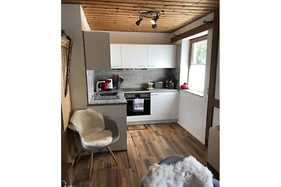 Voor uw vakantie met uw hond