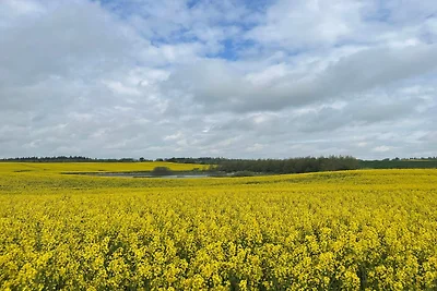 Rifugio accogliente a Vorupor -- By Traum...