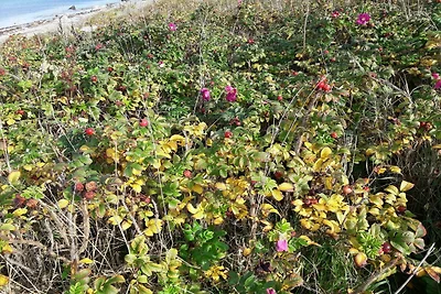 7 Personen Ferienhaus in Asnæs-By Traum