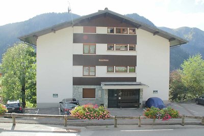 Studio-Apartment in Chatel