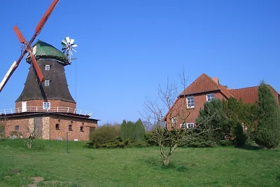 Wohnung in Neubukow in Meeresnהhe