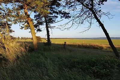 6 Personen Ferienhaus in Løgstør