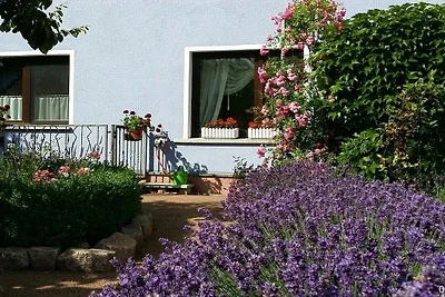 Ferienhaus in Radebeul mit Schwimmbecken