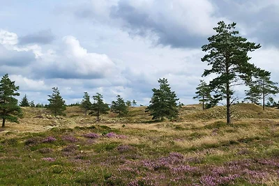 Ritiro di lusso con piscina -- By Traum...