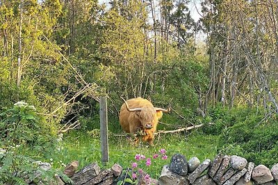 3 persoons vakantie huis in LÖTTORP