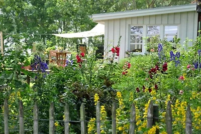 Huisje met rieten dak Noord-Friesland
