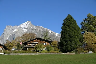 Vakantiehuis in Grindelwald met zwembad