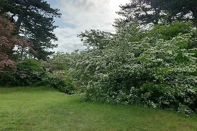 9 persone case ad Skibby