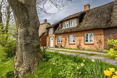 Ferienhaus in Pellworm mit Schwimmbecken