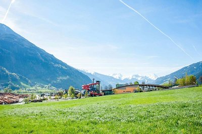 Appartement in Hainzenberg in een skigebied