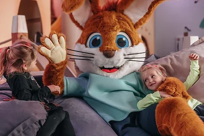 Ferienhaus in Kamperland am Strand