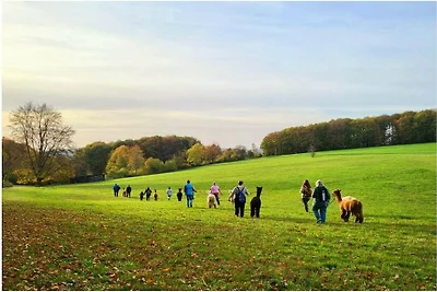 Vakantiehuis in Windeck met zwembad