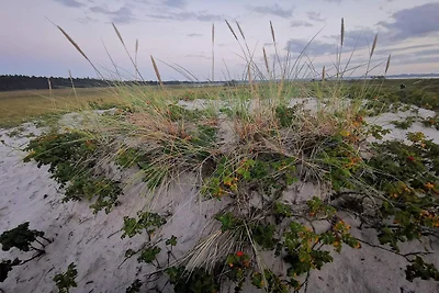 6 Personen Ferienhaus in Højby