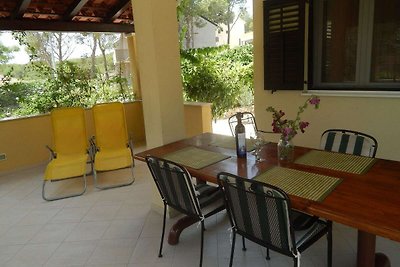 Apartments Mimose - Two Bedroom Apartment wit...