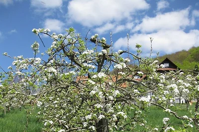 Heimatliebe  im  Haus Bachmatt