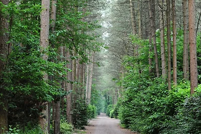 Schönes Ferienhaus an der belgischen Grenze