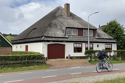 Bauernhof in Schoorl mit Schwimmbecken