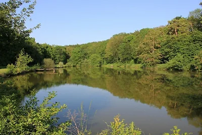 Stelzenmühle Reichelsburgblick