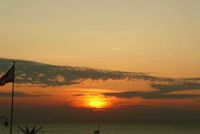 Schätzchen am Meer