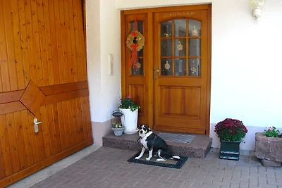 Casa vacanze a Hofstetten con terrazza