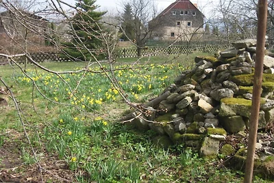 Schrammsteinblick