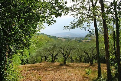 Casa vacanze Dei Pavoni dotata di piscina,...