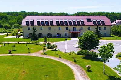 Jurjevec Castle - Standard room 10