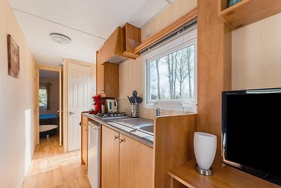 Schönes Chalet in Appelscha mit Garten