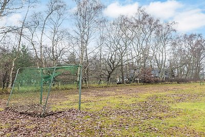 6 persoons vakantieparkhuis in Læsø