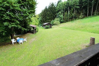 Ruhiges Ferienhaus  nähe Skigebiet Petzen